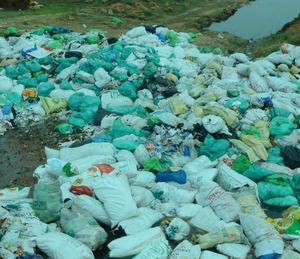 After NGT order, Kerala clears dumped medical waste in TN’s Tirunelveli