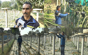 J&K: Samba farmer deploys modern horticulture technique in farming, inspires locals