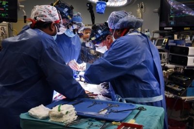 US surgeons complete fifth gene-edited pig organ transplant