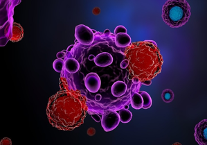 Study explores role of immune cells in cancer treatment outcomes