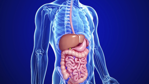 From Covid to probiotics, researchers reveal changes in gut microbiota