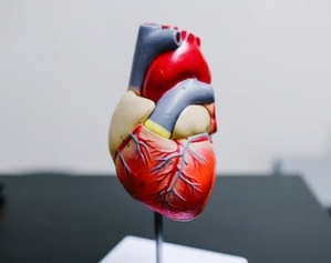 Study decodes who actually needs statin medication to lower cholesterol