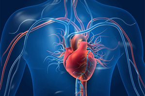 Breakthrough research offers hope for treatment of ischemic heart failure