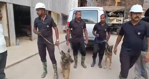 Cadaver dogs, robotic experts deployed for Telangana tunnel rescue operation