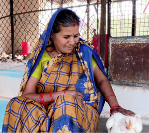 Shanti Bai: A poor firewood seller turns flag bearer of multimillion backyard poultry business in MP