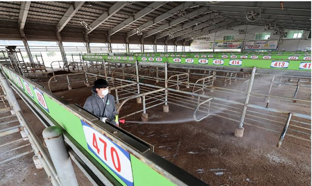 Foot-and-mouth disease cases in South Korea rise to 8