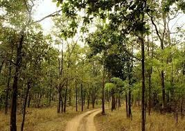 Maoist stronghold Chhattisgarh recorded 267 violent incidents in 2024: Data