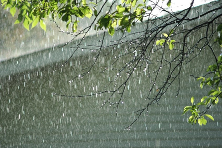 IMD forecasts scattered rainfall in Gujarat next week