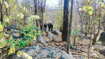 Maoists request security forces for dialogue amid intensified anti-LWE action
