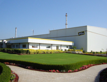 McCain India profit shrinks 29 pc in FY24 amid rising costs