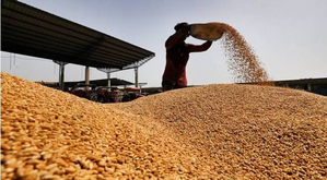 J&K: 21 wheat procurement centres being set up in Jammu