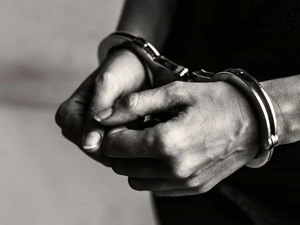 MP: Two persons arrested for unnatural sex with cows