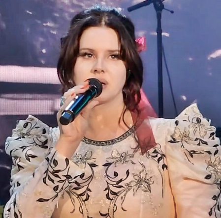 <div>Lana Del Rey sheds light on meaning of her new song ‘Bluebird’</div>