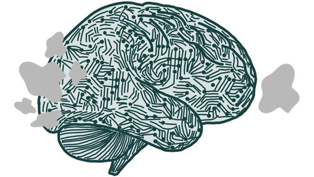 New study on brain’s visual regions can help build effective AI systems