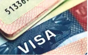 Gujarat: Vadodara woman duped of Rs 5.61 lakh in visa scam, complaint filed