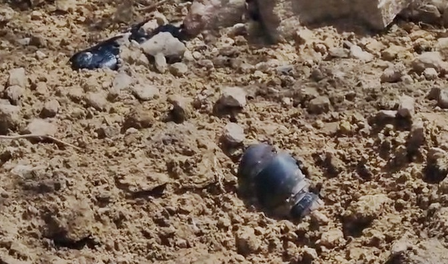 Rajasthan alert: Bomb-like object found in Jaisalmer, probe underway