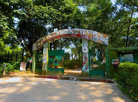 Three tiger cubs born at Tripura’s Sepahijala Zoo after 53 years