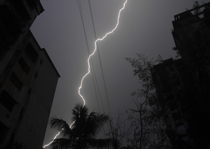 <div>Over 40 sheep, goats killed in lightning strike in J&K’s Ganderbal</div>