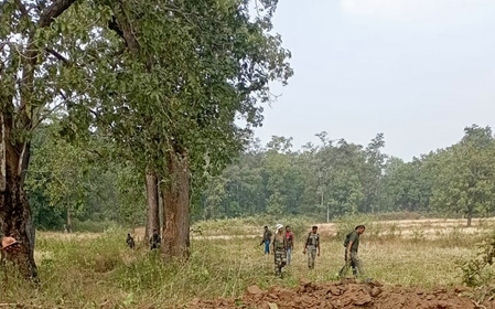 24 Maoists carrying Rs 84 lakh bounty surrender in Bijapur