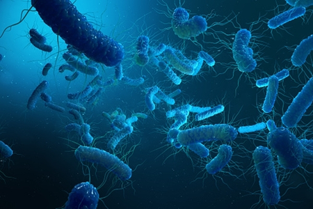 Dangerous antibiotic-resistant bacteria discovered in Red Sea, Mediterranean