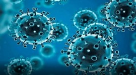 40-year-old man, who tested positive for Covid-19, dies in Chandigarh