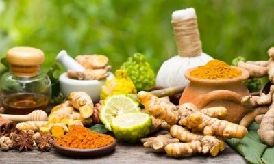 Centre designates September 23 as new National Ayurveda Day
