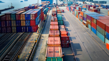 Govt imposes anti-dumping duties on vitamin A, rubber chemical imports from China, Japan, EU