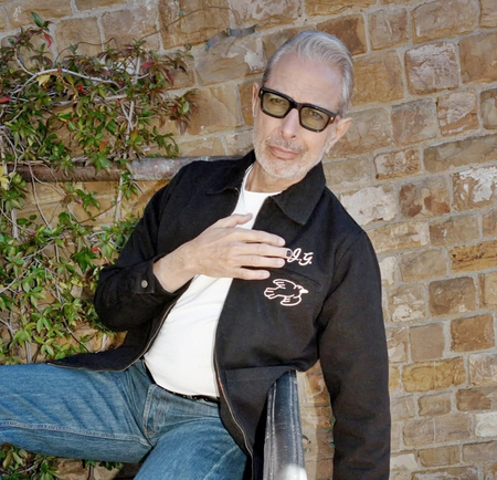 <div>Jeff Goldblum reveals he was ‘very starstruck’ meeting George Clooney</div>