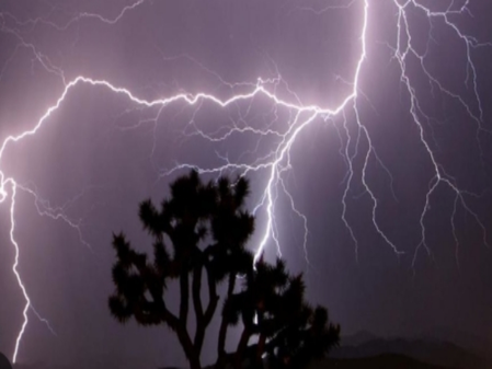 <div>Lightning strike claims one life in Madhya Pradesh’s Sehore; two injured</div>