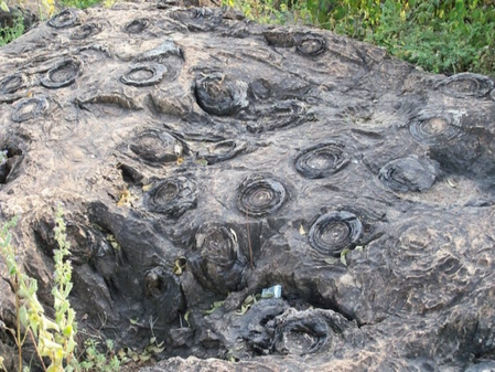 <div>UP’s Salkhan Fossils Park joins Unesco’s tentative World Heritage List</div>