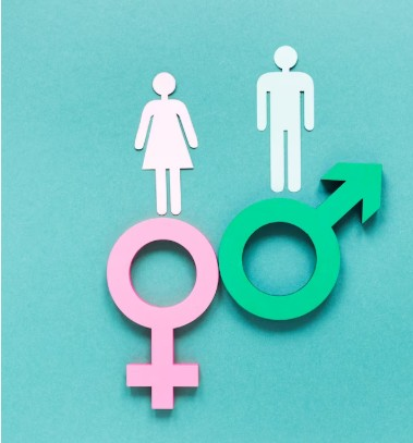 <div>Himachal’s sex ratio records improvement, touches 964 in 2024</div>