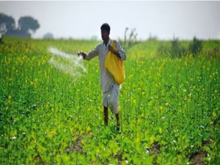 Assam achieves record paddy procurement in Kharif season 2024–25