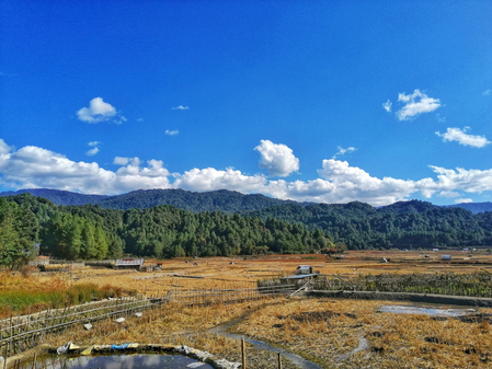 With 79 pc forest cover, Arunachal contributes big to India’s carbon sequestration, says CM Khandu