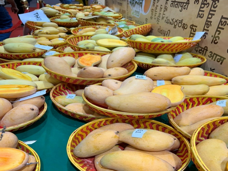 <div>Delhi: NDMC’s 2-day ‘Khaas-ye-Aam’ mango festival begins tomorrow</div>
