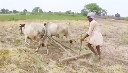 <div>PM KISAN scheme: About 2 lakh farmers draw benefits in MP’s Damoh</div>