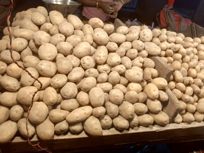 Gujarat emerges as leader in production of processed potatoes