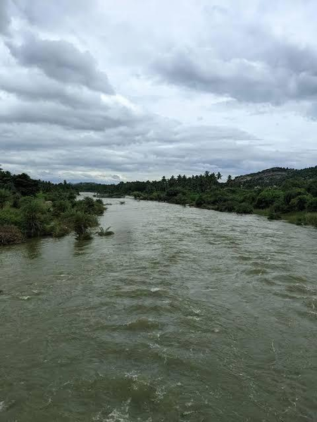 TN govt blames Karnataka for Thenpennai River pollution