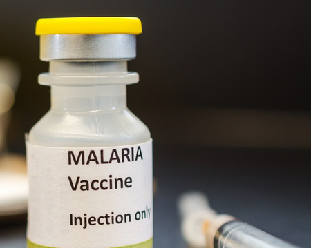 <div>India developing indigenous multi-stage Malaria vaccine ‘AdFalciVax’</div>
