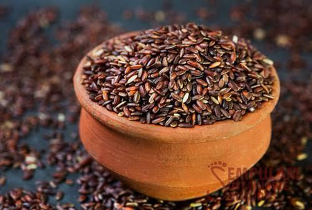 TN seeks GI tag for heritage variety Mugavai Kuliyadichan red rice