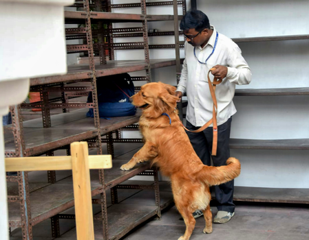 <div>Agra schools receive bomb threats, emails again mention ‘Roadkill’</div>