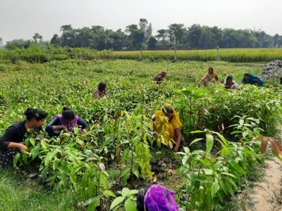 India-UK trade deal brings new hope, boosts crop exports and income: Farmers