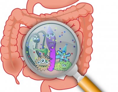 Non-antibiotic drugs can disrupt microbiome, raise gut infection risk