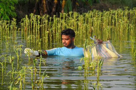 Crops damage in heavy rains causes vegetable prices to skyrocket in Bengal cities