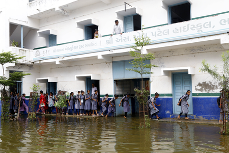 148 Gujarat talukas receive heavy rainfall in 24 hours; Umarpada records 7.5 inches