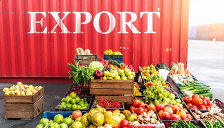 E-commerce export hubs to lower logistics cost for Indian SMEs