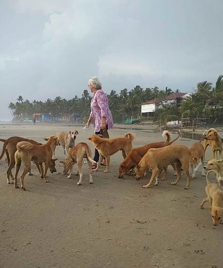 Nafisa Ali: SC’s decision to rid Delhi roads of dogs is totally devastating