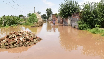 14,200 acres in Punjab hit by floodwaters, says minister