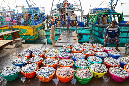 <div>India’s seafood exports touch $7.45 billion</div>