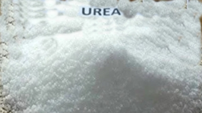 Urea shortage hits Telangana farmers hard