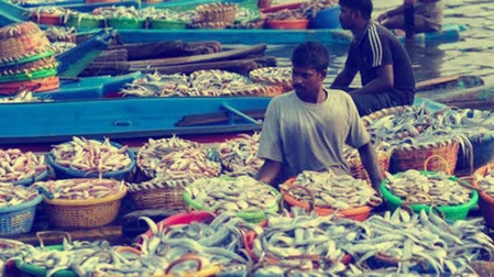 <div>US tariff’s lead to slash in seafood production by 50 pc in TN</div>